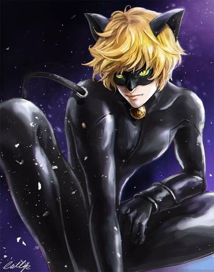 Супер кот взрослые. Супер кот нуар взрослый. Взрослые леди баг и кот нуар. Леди баг и супер-кот мультсериал. Леди нуар miraculous.