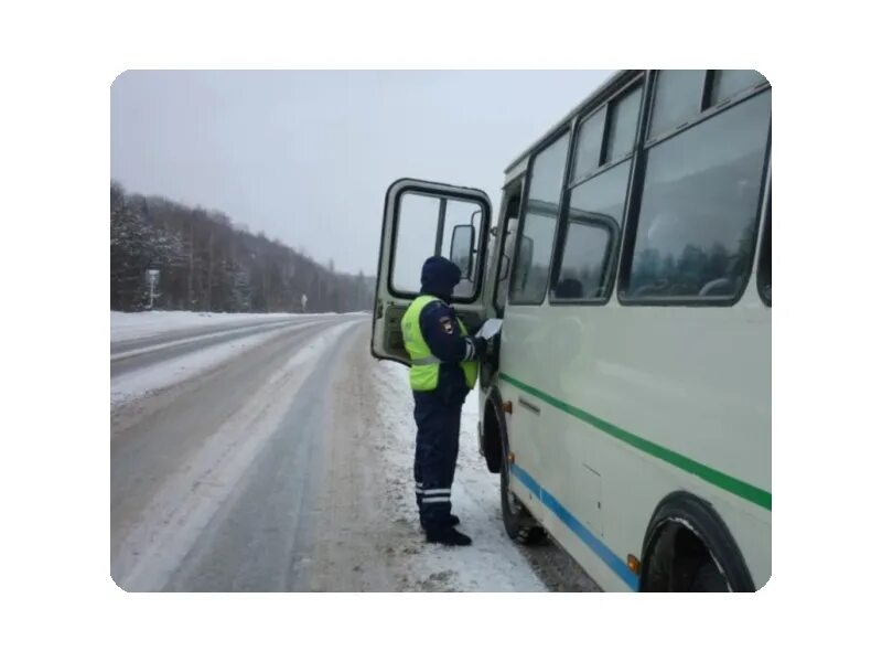 Возить проверяемое