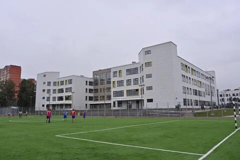 Школа перспектива новый