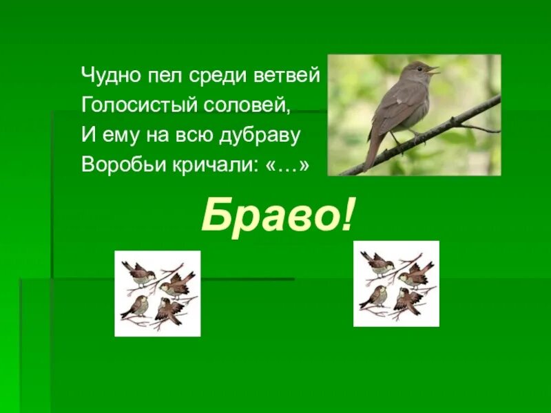 Чудно пел среди ветвей голосистый Соловей и ему. Голосистый Соловей. Соловей мой Соловей голосистый. Алябьев Соловей. Автор алябьева соловей