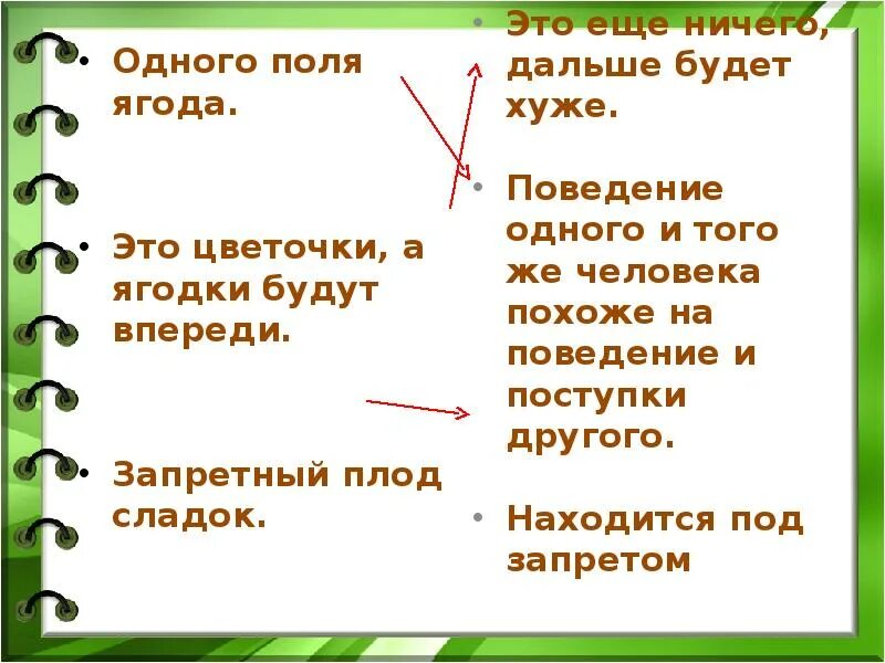 Не твоего поля ягодка. Одного поля ягода значение. Одного поля ягода фразеологизм. Одного поля ягода значение фразеологизма. 1 Поля ягода фразеологизм.