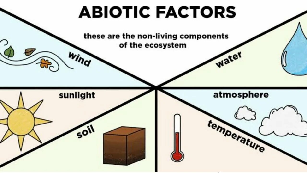 Abiotic factor аномалия. Abiotic factor. abiotic components. biotic abiotic. abiotic factor игра.
