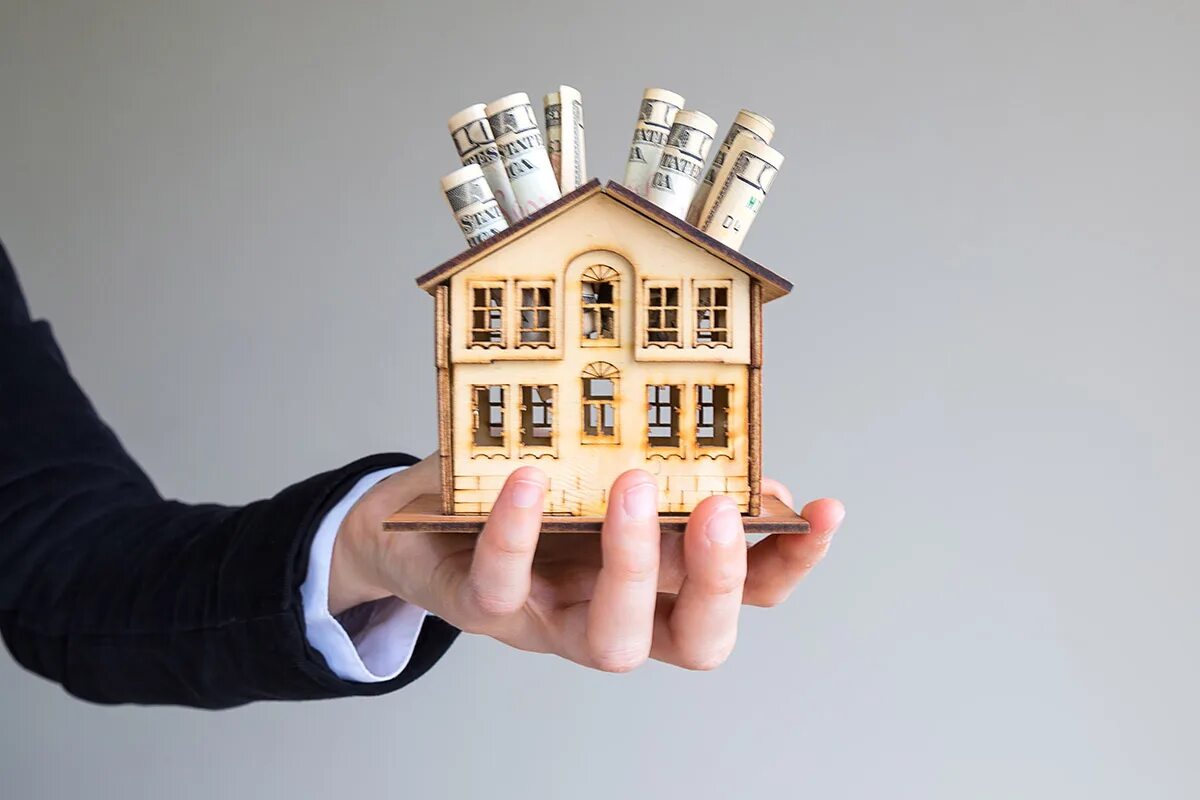 Article property