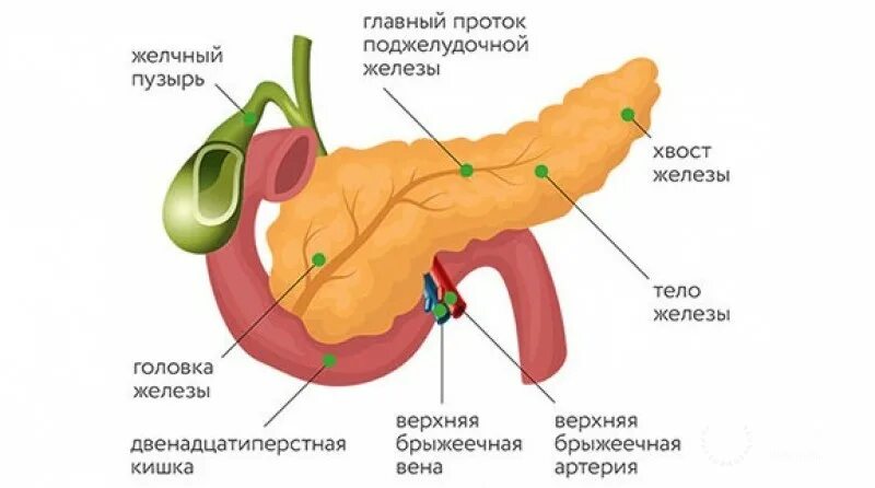 Поджелудочная железа отечность