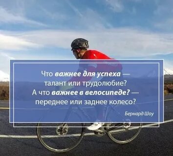 Вело цитаты