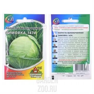 Капуста зимовка описание сорта и отзывы характеристика