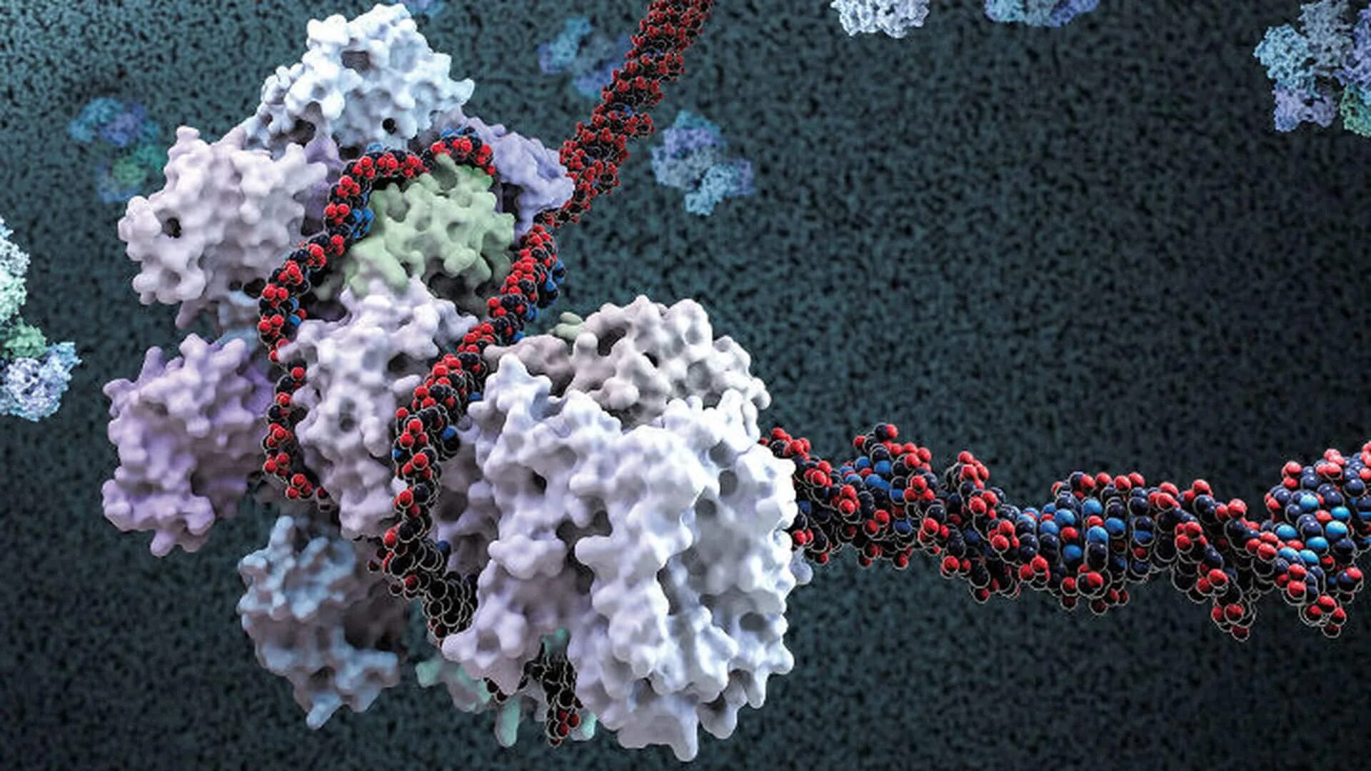 Белки биотехнологии. CRISPR Биоинженерия ДНК. Генетические ножницы CRISPR/cas9. Ферменты под микроскопом. Белок под микроскопом.