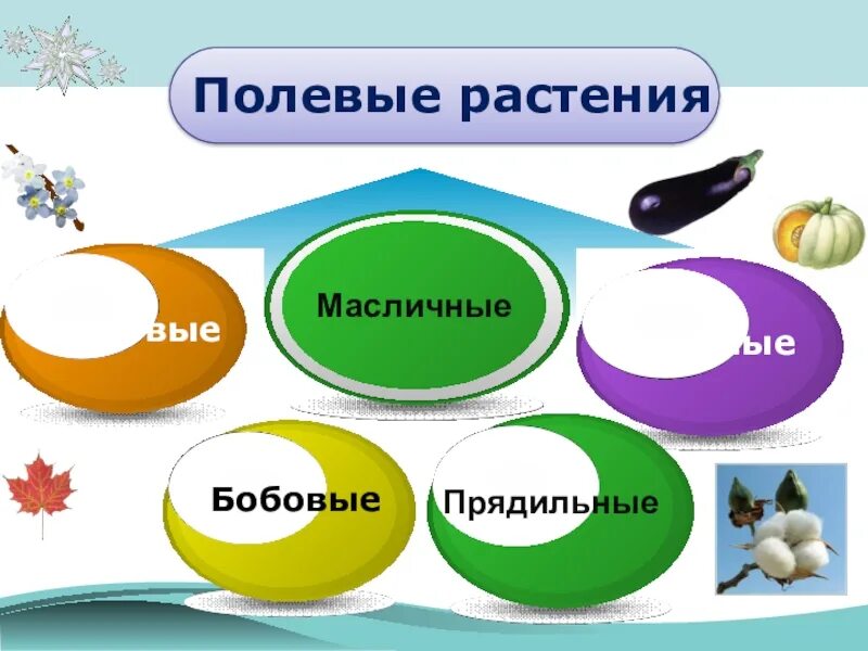 Поле и его обитатели 3 класс. Поле и его обитатели 3 класс доклад. Презентация на тему поле.