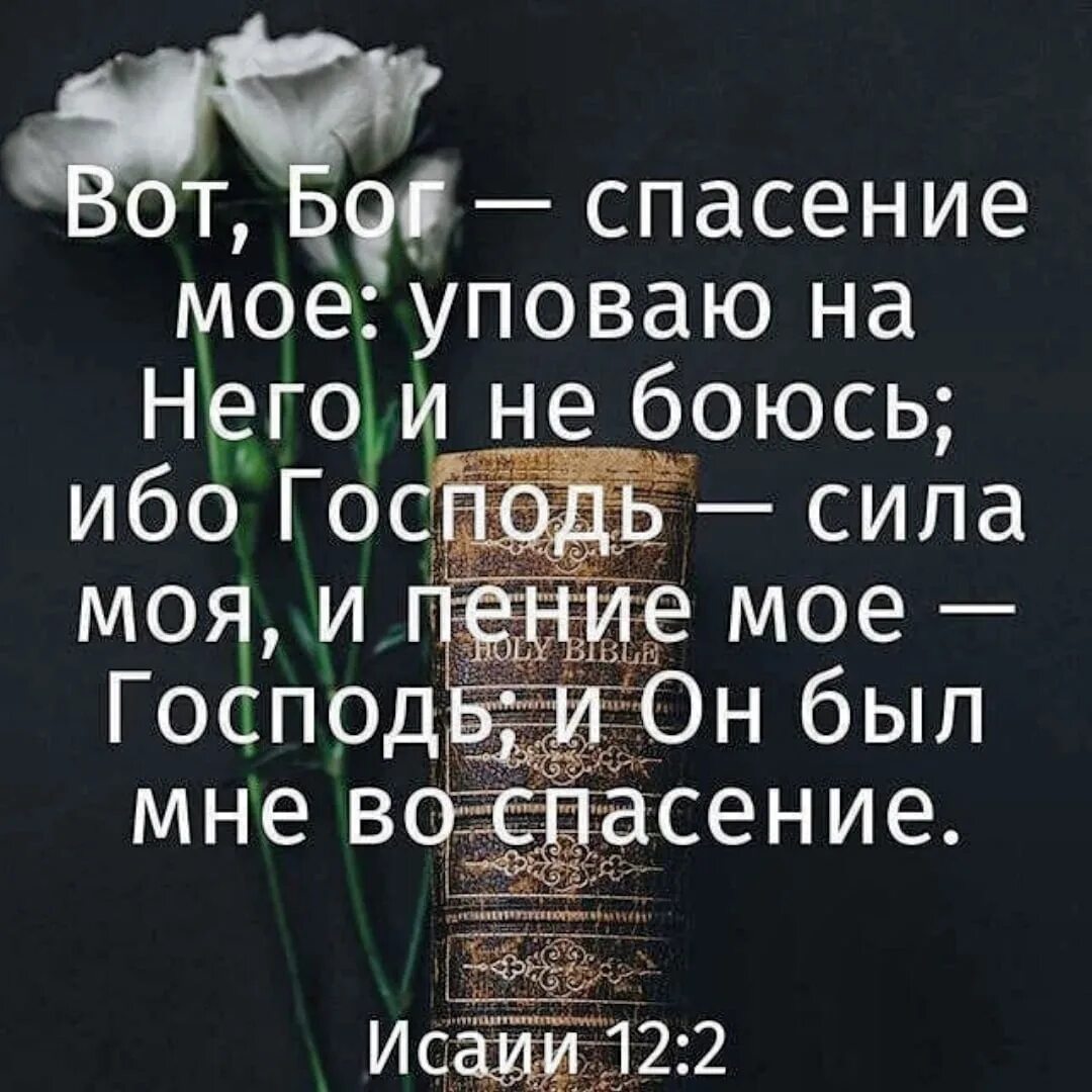 Стихи из Библии. Бог спасение мое уповаю на него. Вот Бог спасение мое уповаю на него и не боюсь. Упование на Бога стихи из Библии. Я спасусь от цветка испытаний 23 глава