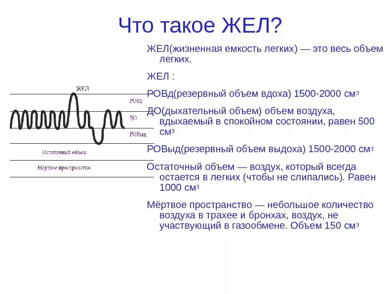 Жизненная емкость это количество. Жизненная ёмкость лёгких. Жизненная ёмкость лёгких (жел). Снижение жизненной емкости легких. Жизненный объём лёгких.