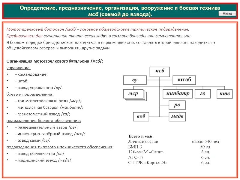 Состав мотострелкового взвода