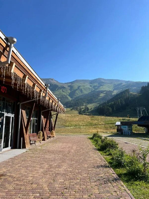 санаторий нарат теберда официальный сайт. поляна наслаждалась солнцем и пила поднебесную. поляна наслаждалась солнцем и пила поднебесную. светлая поляна в лесу. фотосессия в лугах.