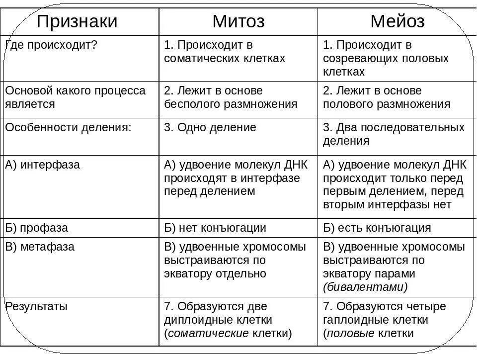 Основные отличия мейоза от митоза 9 класс. Сравнительная характеристика митоза и мейоза профаза. Сравнительная характеристика митоза и мейоза интерфаза. Деления клеток: митоз и мейоз, их сравнительная характеристика.. Деление клетки таблица.