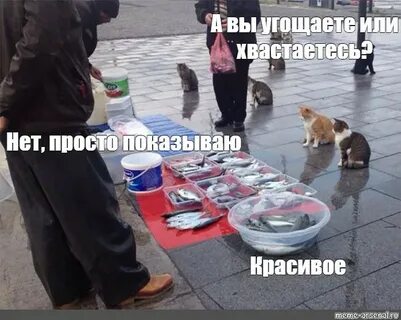 Просто показываем красивое