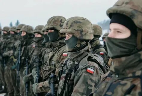 Поляки воюют с россией