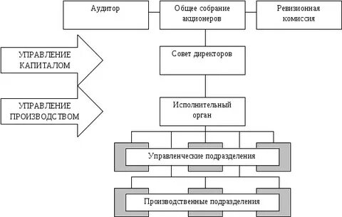 Структура организации акционерного общества