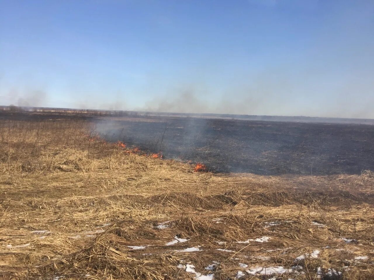 Пал гг. Пал сухой травы МЧС Вологодская. Пал травы Вологодская область. Пал травы в Лукояновском районе. Фетинино Вологодская область.