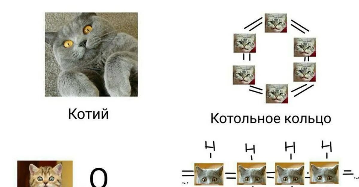 Матерь котья