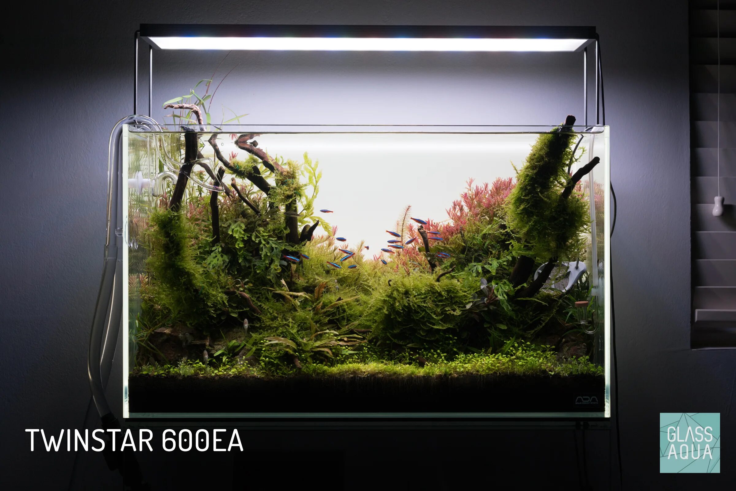 Ada light. Ada 60p planted. акваскейп 60 литров. aquascape 60x35z35. аквариум ada.