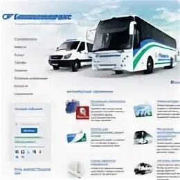 Bashauto