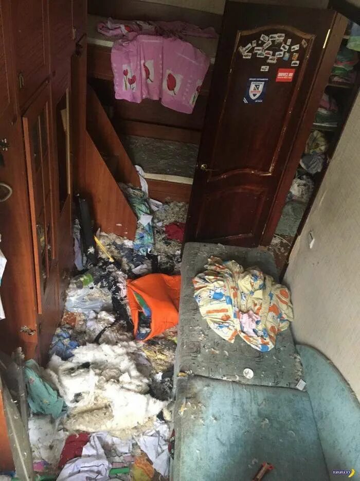 Беспорядок в квартире. Разнесли квартиру. Подростки разнесли коттедж. Подростки разнесли коттедж. Вписка на хате.