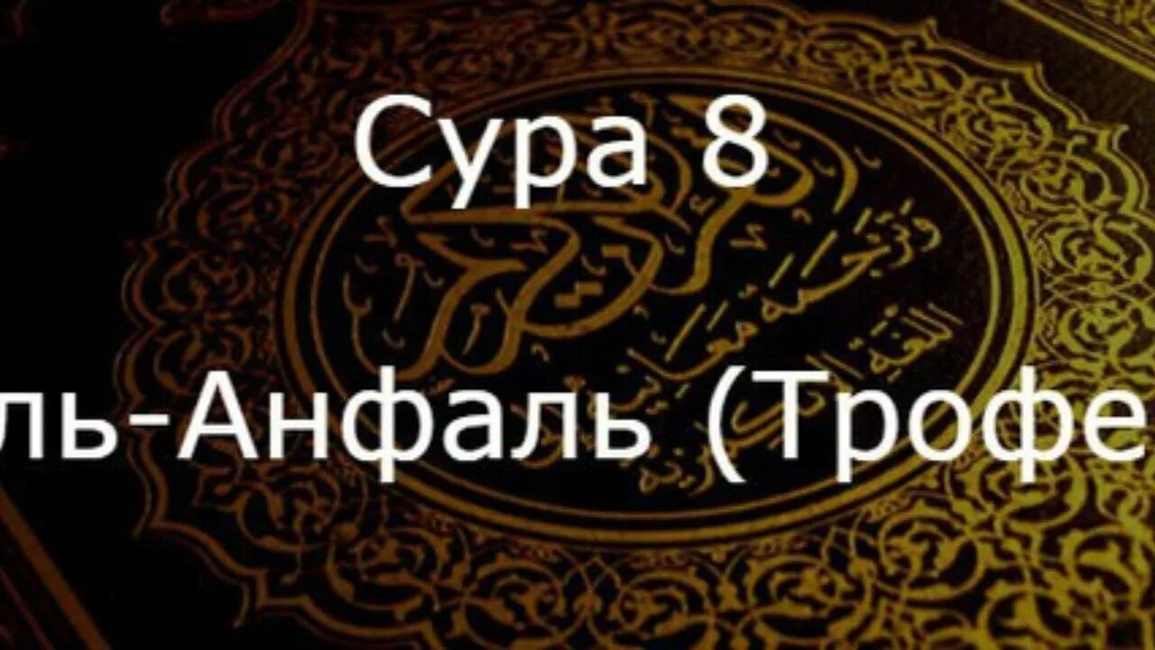 Сура Аль Анфаль. Сура 8. Сура Анфал. Сура Аль Анфаль трофеи.