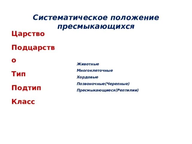 Систематическое положение тела. Пресмыкающиеся систематическое положение. систематическое положение простейших. систематическое положение пресмыкающихся 7 класс. систематическое положение человека.