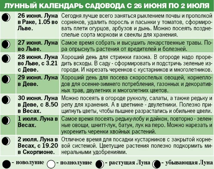 Лунный календарь огородника садовода на июнь. Лунный календарь на июнь огородника и садовода. Лунный календарь на июнь. Лунный посевной календарь на июнь. Календарь огородника на 2022 лунный посевной.