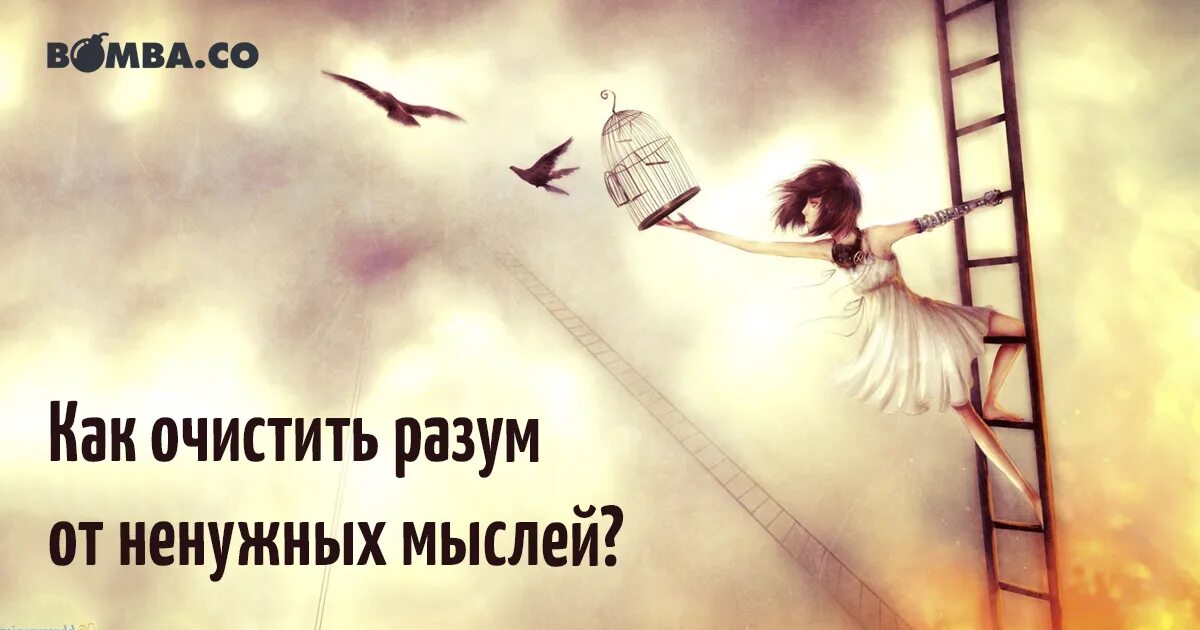 Лишних мыслей не было. Дурные мысли в голове. Негативные мысли в голове. Очищай разум. Научитесь избавляться от ненужных людей.