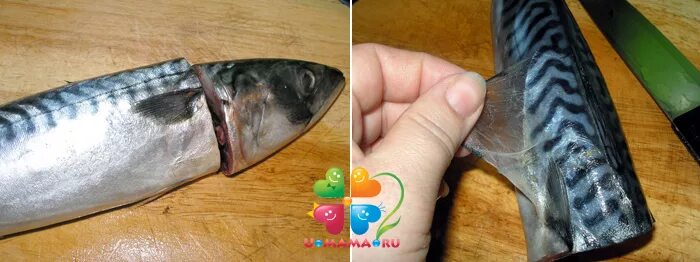 Как почистить скумбрию