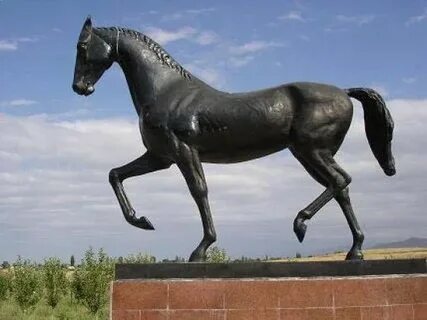 Жалаңаш қыздардың письмоларын қараңыз