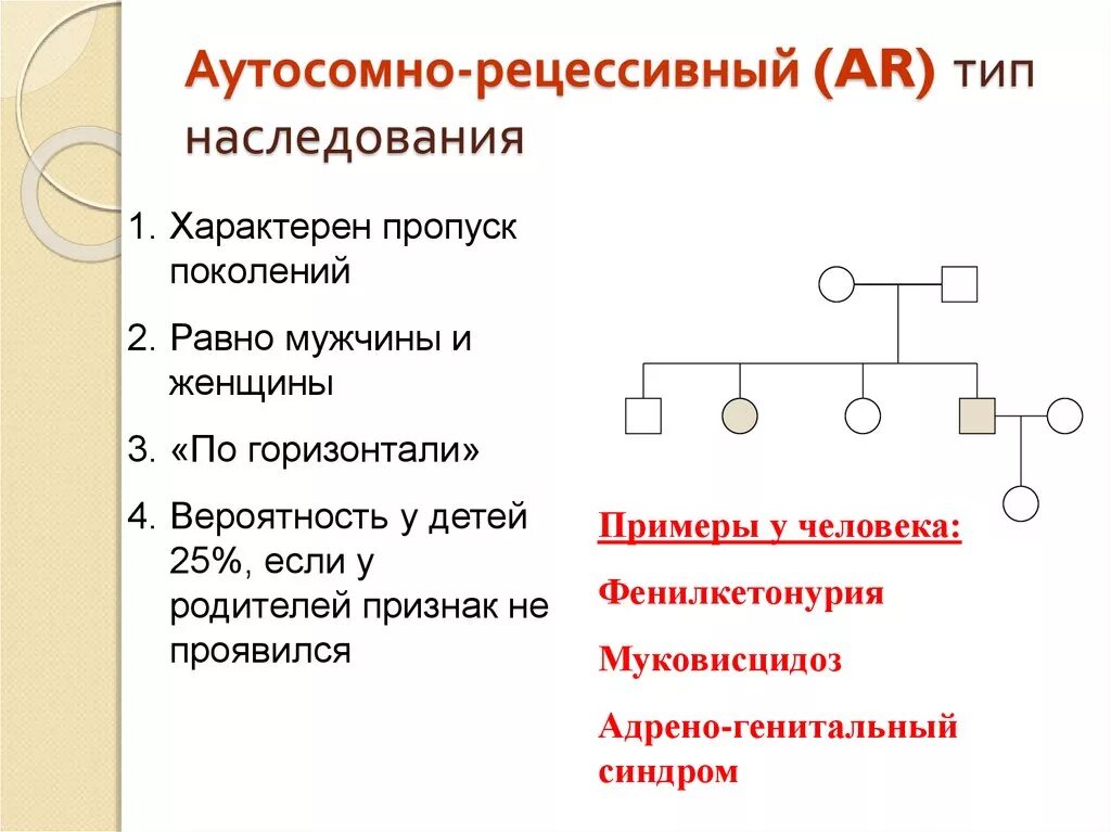 Аутосомное наследование пример. Признаки аутосомно-рецессивного типа наследования. Типы наследования признаков аутосомно рецессивный Тип наследования. Признаки, характеризующие аутосомно-рецессивный Тип наследования. Родословная генетика аутосомно рецессивный.