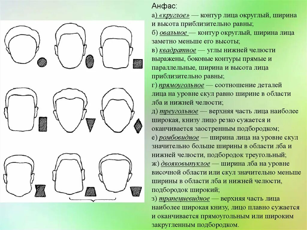 Ширина нижней челюсти
