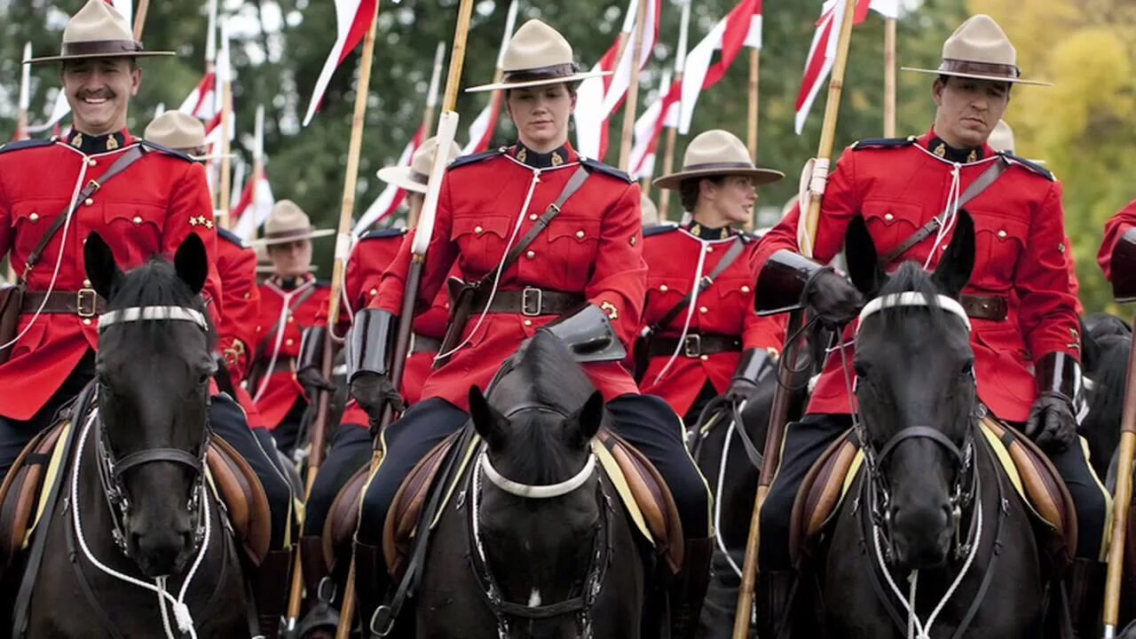 Лошадь помощник человека. Конная полиция испании. Mountain police. Королевская конная полиция канада фрейзер. Mountain police.