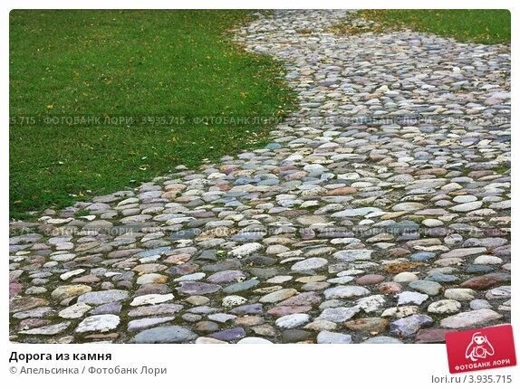 Road Cobblestones Tree free image download