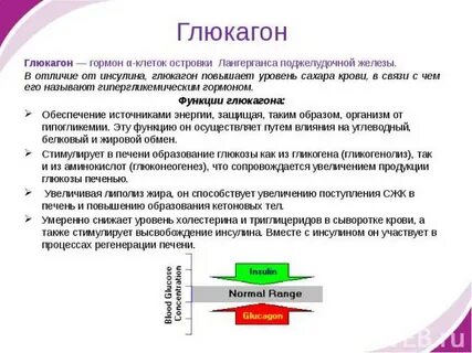 Инсулин функции гормона