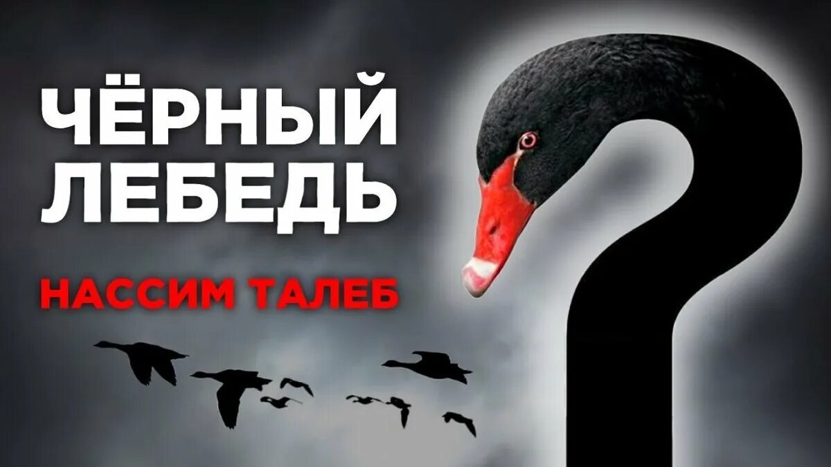 Нассим талеб черный лебедь. Нассим талеб черный лебедь под знаком непредсказуемости. Черный лебедь прилетел. Чёрный лебедь нассим николас талеб книга. Теория черного лебедя.