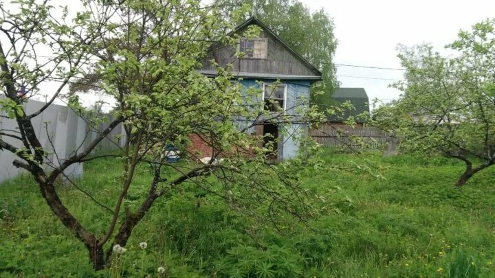 СНТ Лесное 2 Тосненский район. Никольское Тосненский район Лесное 3. Дачный массив Никольское. СНТ Лесное массив Никольское. Дача никольское тосненский