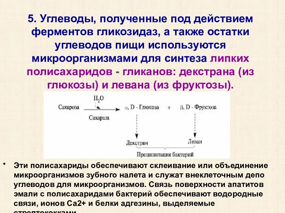 Протекает под действием ферментов протекают под действием ферментов. Образование фенола из крезола. Ферменты переваривающие нейтральные жиры. Молочнн-кислое броденре гобкощв. 5.