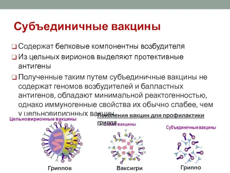 Вакцины получают из. Классификация вакцин микробиология. Компонентные вакцины. Химические субъединичные вакцины. Вакцины по количеству антигенов схема.