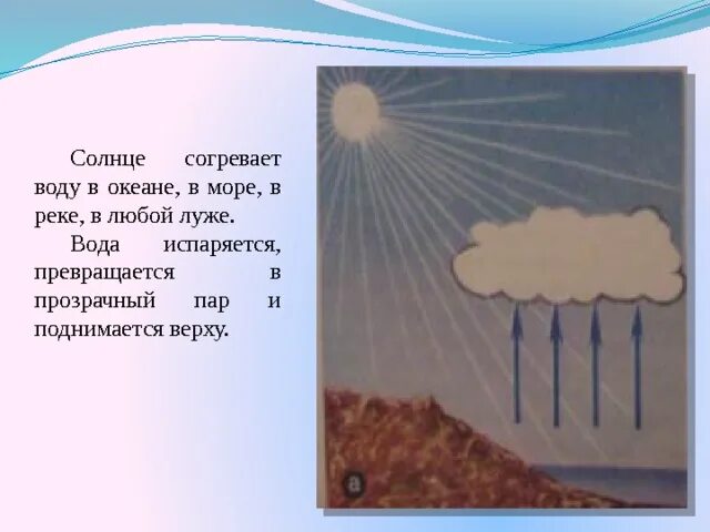 Солнышко пригрело