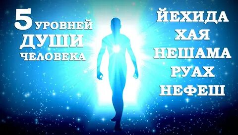 Качества и уровни души