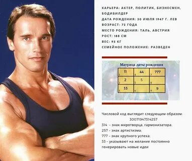 Программа шварценеггера на массу