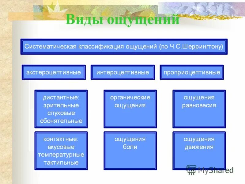Дисциплины на факультете психологии. В. Предметы на факультете психологии. Предметы на факультете психологии. Факультеты общей психологии.