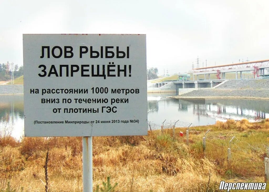 Запрет на рыбалку в казахстане 2024 году. Рыбалка запрещена. Рыбалка запрещена табличка. Ловля рыбы запрещена табличка. Вывеска рыбалка запрещена.