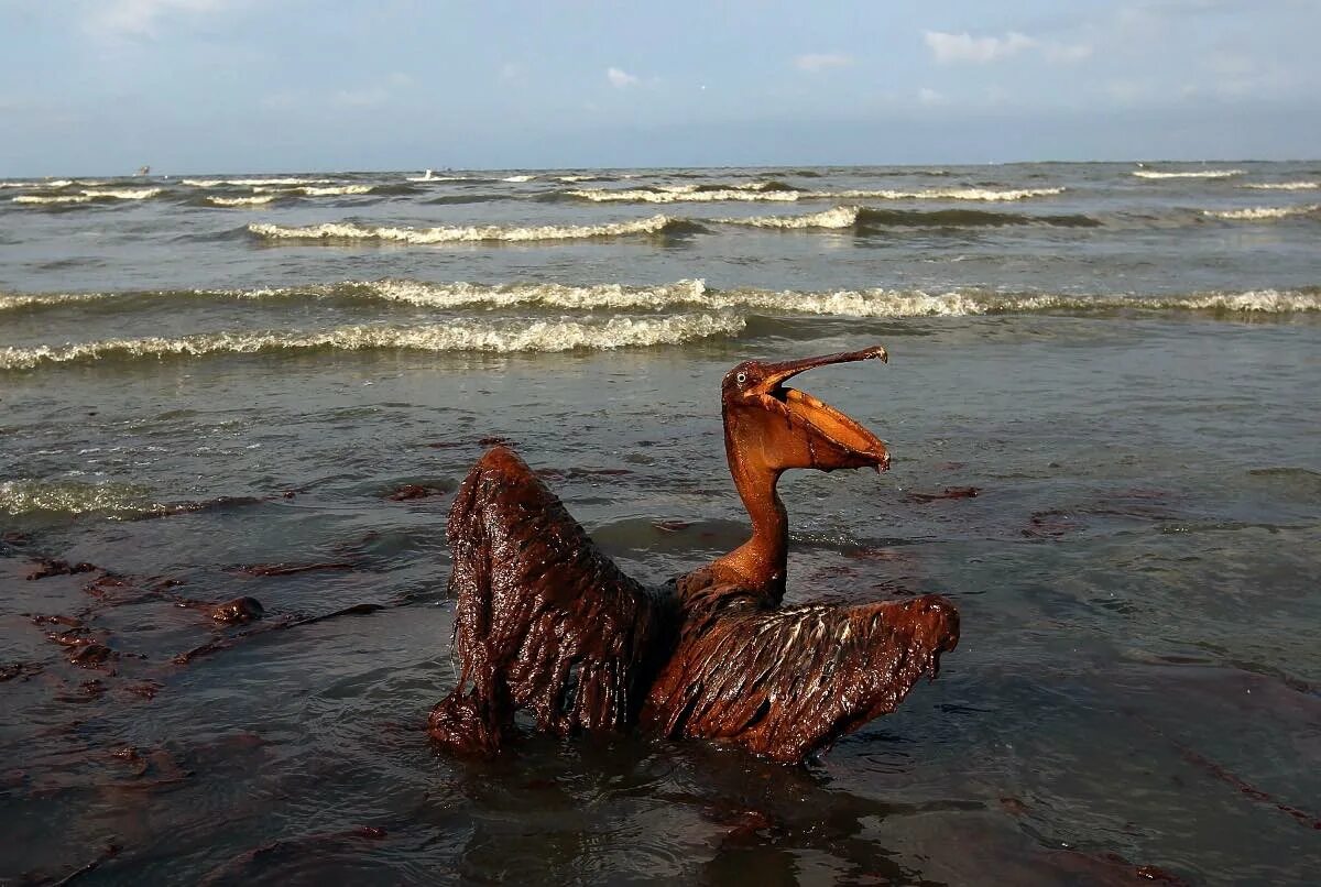 разлитая нефть в море