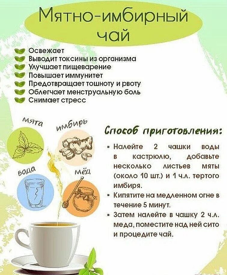 Полезные травяные чаи для здоровья. Полезные свойства чая. Топ вкусных чаев. Полезные травы для чая. Виды чая.