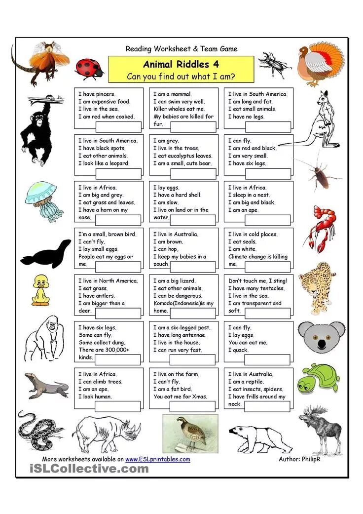 Английские загадки с ответами. Загадки на английском для детей. Загадки про животных на английском для детей. Загадка про животный на английском. 4 загадки на английском