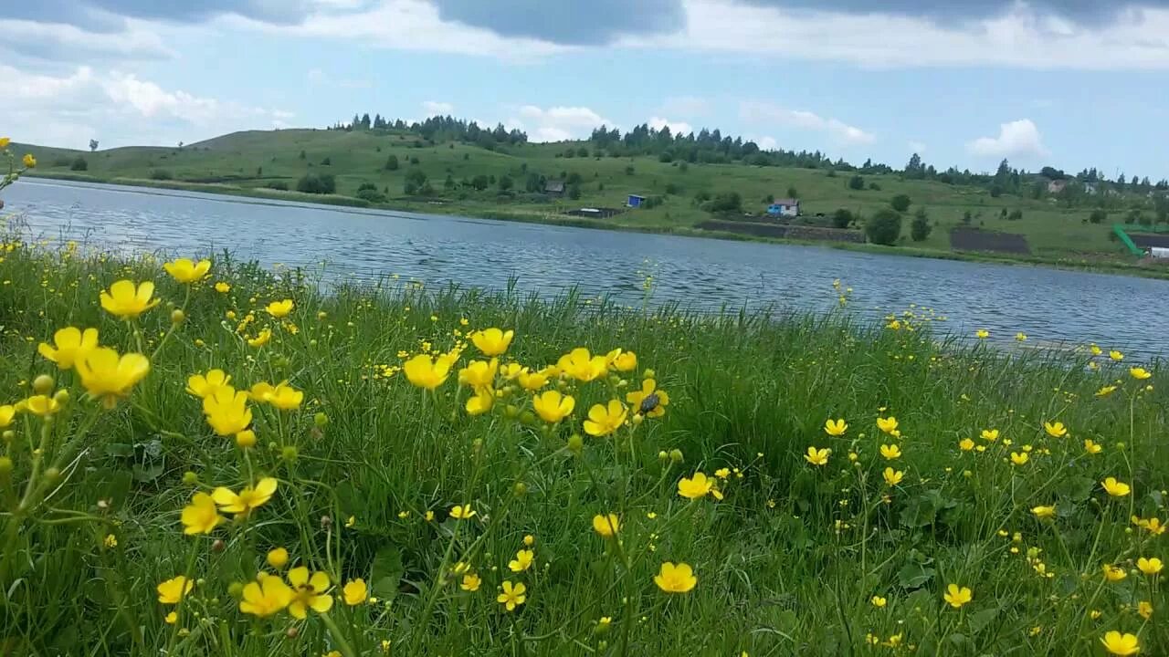 Села орда пермский край. Ординские пруды Пермский край. Пермский край Ординский район природа. Село Орда Пермский край. Орда Пермский край природа.