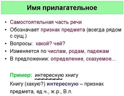 Особенности прилагательных в русском языке